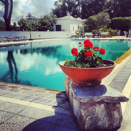 Hotel Al Bosco Forio  Bagian luar foto